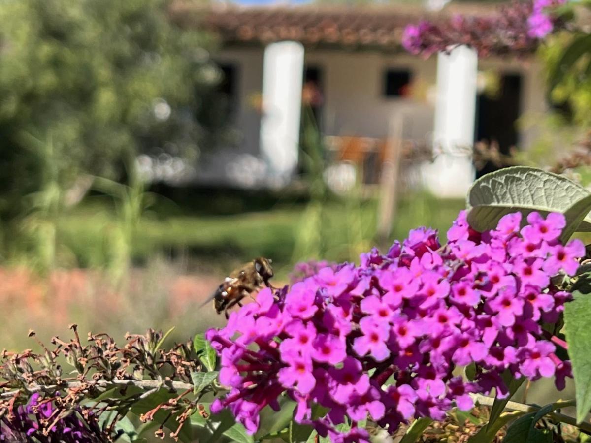 Camping Bungalows Armalygal Murillo de Gállego Exterior foto
